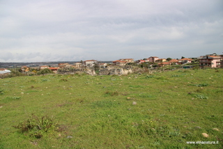 ammena-26-02-2023 14-10-34